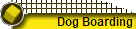 Dog Boarding