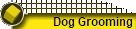 Dog Grooming
