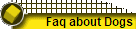 Faq about Dogs